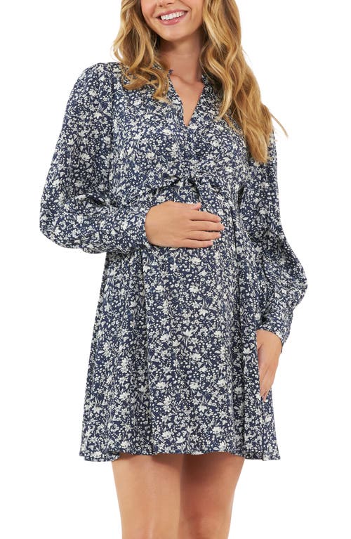 Shop Ripe Maternity Thea Long Sleeve Tie Waist Maternity/nursing Dress In Navy/white