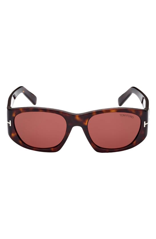 Tom Ford Cyrille 53mm Rectangular Sunglasses In Dark Havana / Bordeaux