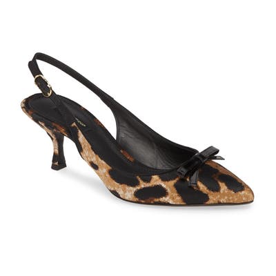 Dolce & gabbana Pointed Toe Slingback Sandal, Black
