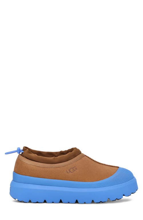 Shop Ugg(r) Tasman Waterproof Hybrid Slip-on Shoe In Chestnut/big Sky