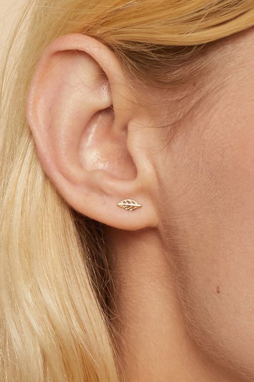 Oradina 14k Yellow Gold Leaf Your Mark Studs In Yellow Gold