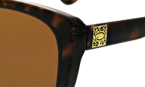 Oscar De La Renta Rounded Modern 54mm Cat Eye Polarized Sunglasses In Tortoise