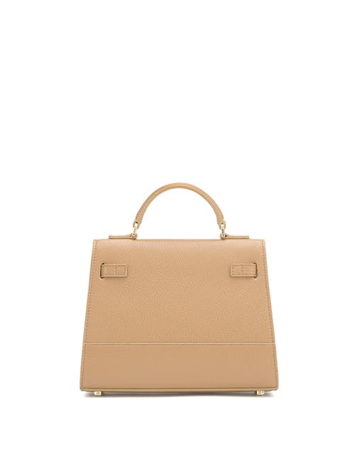 Teddy Blake Kim Stampato 9" In Tan