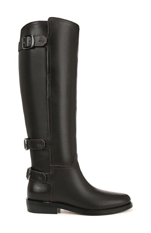 Shop Franco Sarto Padova Knee High Boot In Dark Brown