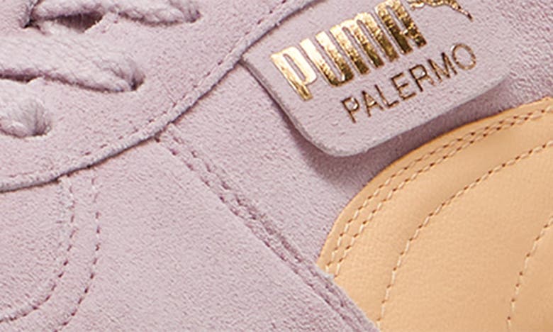 Puma Palermo Sneaker In Grape Mist-peach Fizz