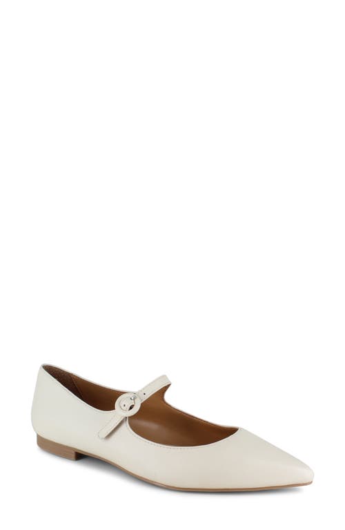 Splendid Mariana Pointed Toe Mary Jane Flat Oat at Nordstrom,