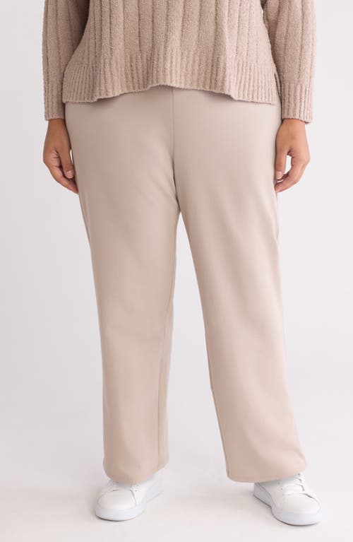 Eileen Fisher Stretch Ankle Straight Leg Pants in Dove 