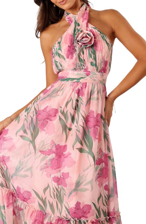 Petal And Pup Petal & Pup Lennon Floral Halter Gown In Pink