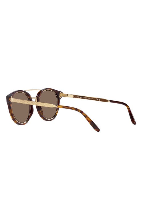 Shop Ralph Lauren 49mm Round Sunglasses In Dark Havana/brown