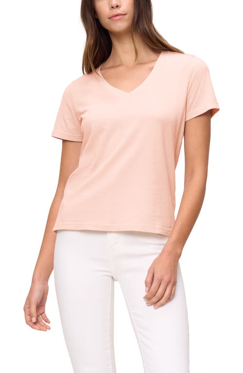 Shop The Standard Stitch The V Neck Tee In Peach