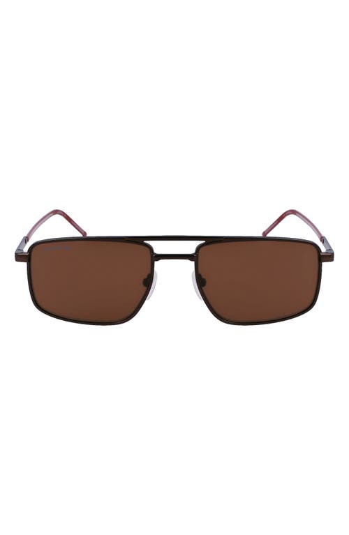 Lacoste 56mm Rectangular Sunglasses in Matte Brown at Nordstrom