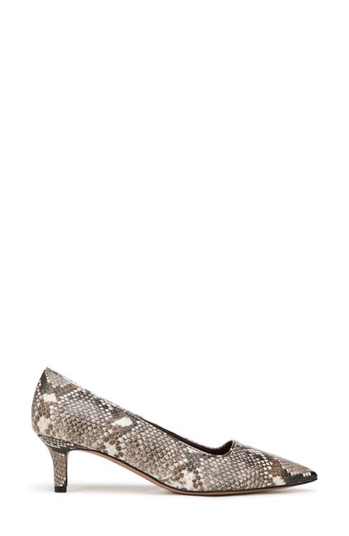Franco Sarto Kim Snakeskin Embossed Kitten Heel Pump In Grey