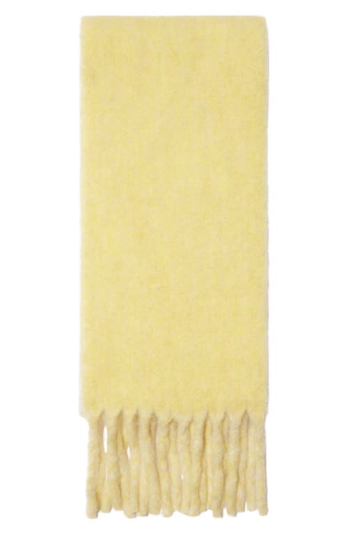 Burberry Logo Text Jacquard Reversible Alpaca & Wool Blend Fringe Scarf In Sandstone