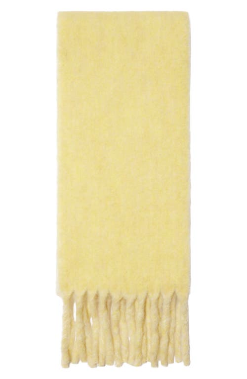 Shop Burberry Logo Text Jacquard Reversible Alpaca & Wool Blend Fringe Scarf In Sandstone