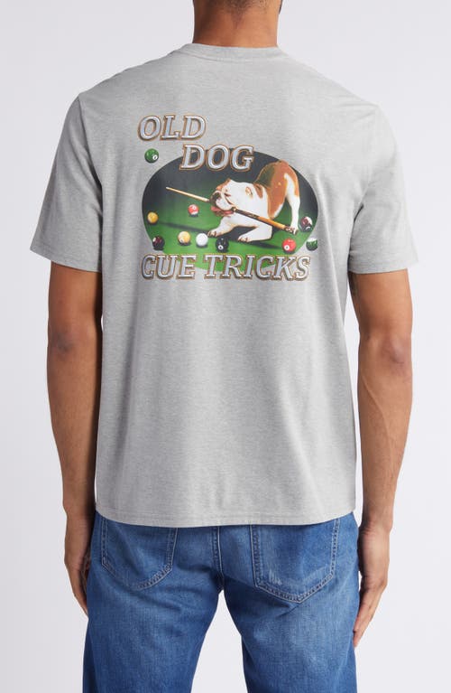 Shop Tommy Bahama Old Dog Cue Tricks Graphic T-shirt In Grey Heather