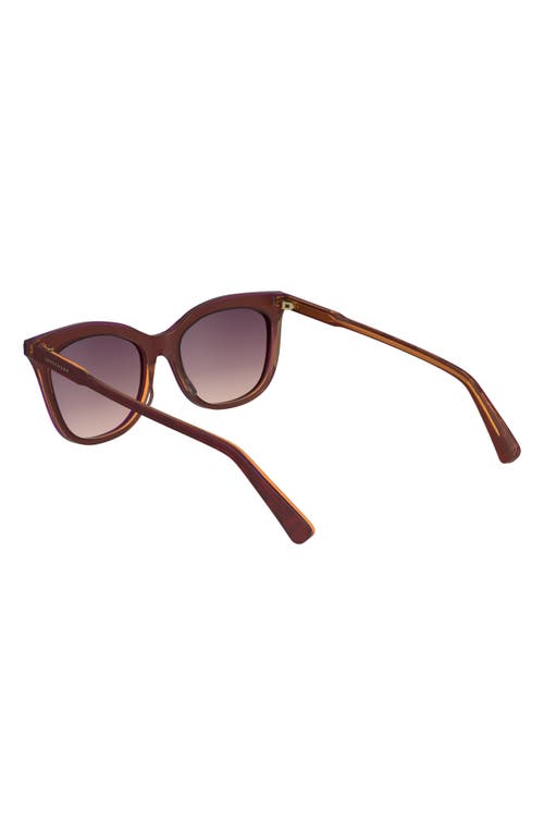 Longchamp 53mm Gradient Cat Eye Sunglasses In Dark Rose/peach