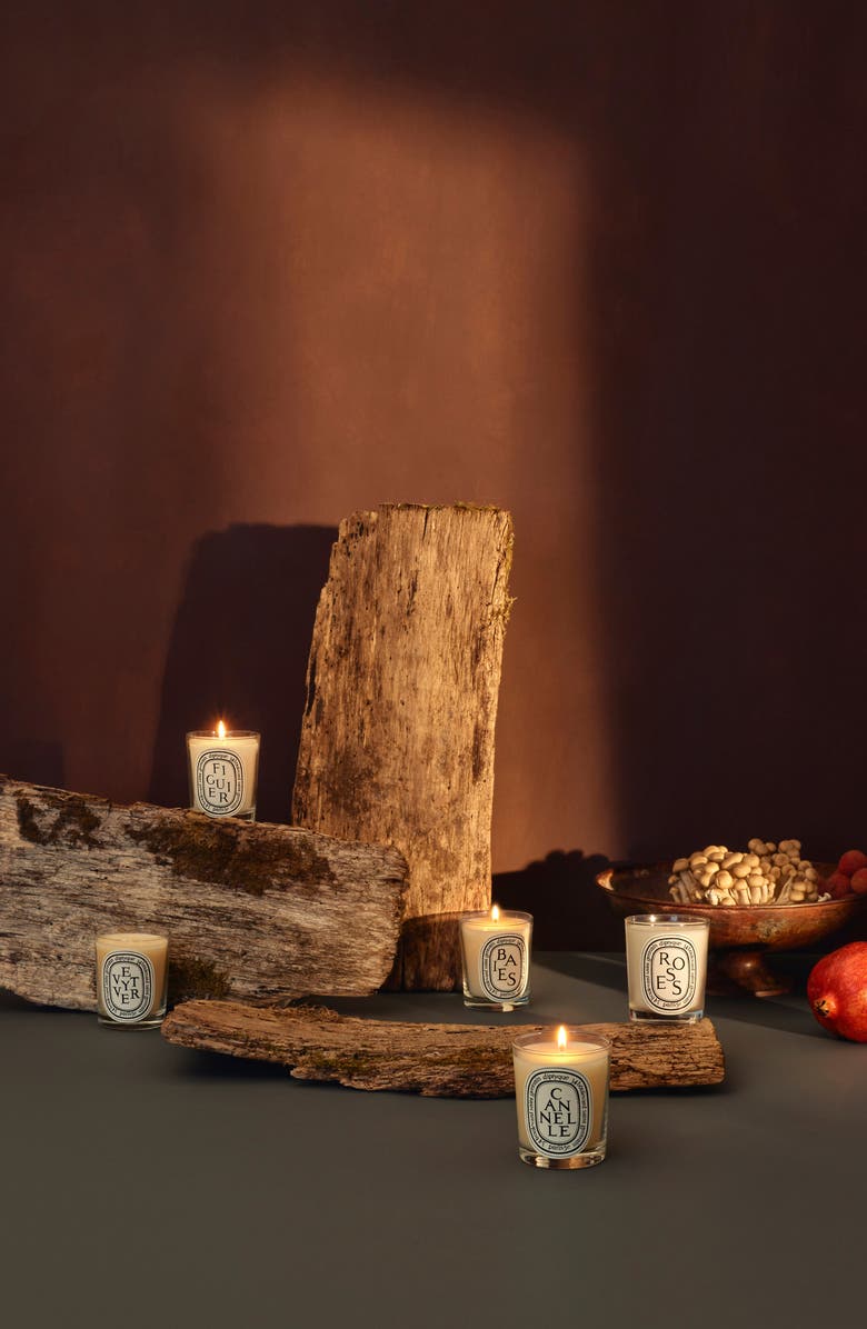 Diptyque Baies (Berries) Scented Candle Nordstrom