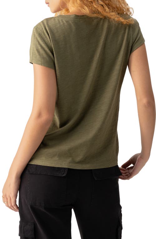 Sanctuary The New Girl Tee In Burnt Olive