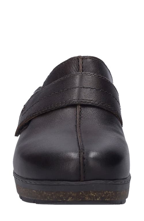 Shop Josef Seibel Darla Clog In Espresso