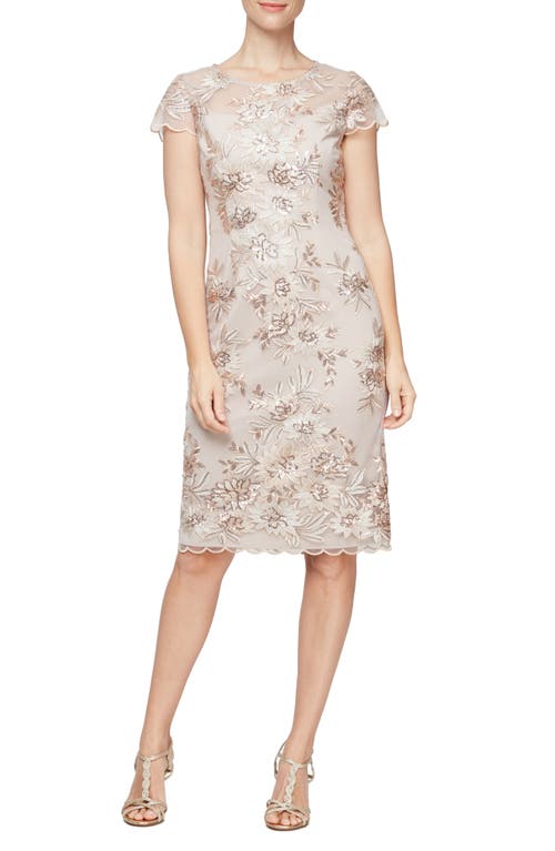 Embroidered Sheath Dress in Champagne