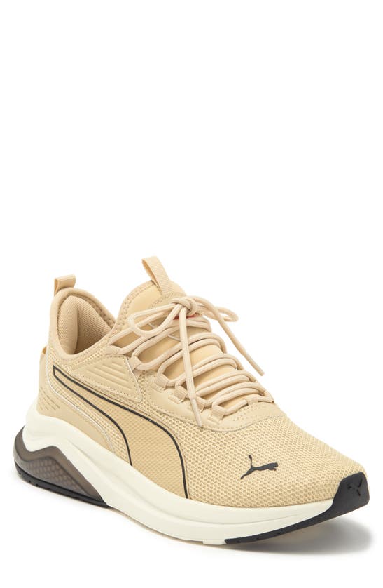 Puma Amplifier Sneaker In Toasted Almond-warm White
