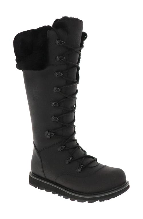 Royal Canadian Dalhousie Waterproof Boot with Genuine Shearling Trim in All Black
