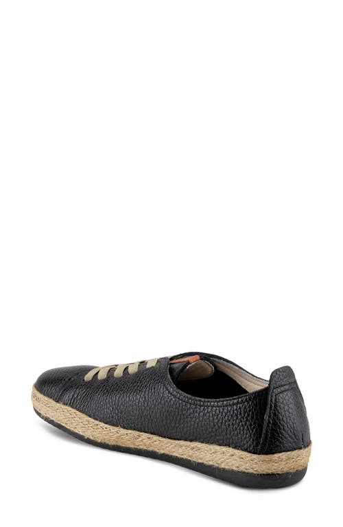 Shop Spring Step Eloya Sneaker In Black