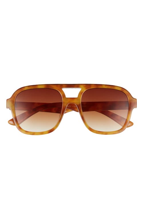 Aire Whirlpool 53mm Aviator Sunglasses In Vintage Tort/brown Grad
