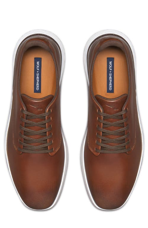 Wolf & Shepherd Crossover Plain Toe Derby In Multi