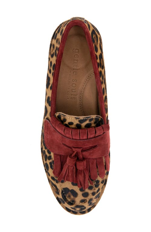 Shop Gentle Souls By Kenneth Cole Cydney Tassel Kiltie Penny Loafer In Leopard Haircalf