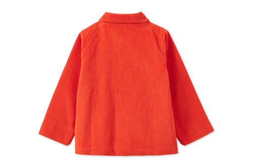 Vild House Of Little Organic Corduroy Jacket In Dark Coral