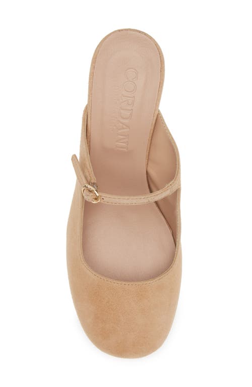 Shop Cordani Shayna Mary Jane Mule In Camel Suede