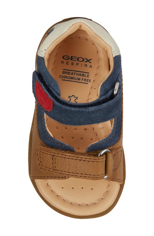 Shop Geox Kids' Macchia Sandal In Caramel/navy