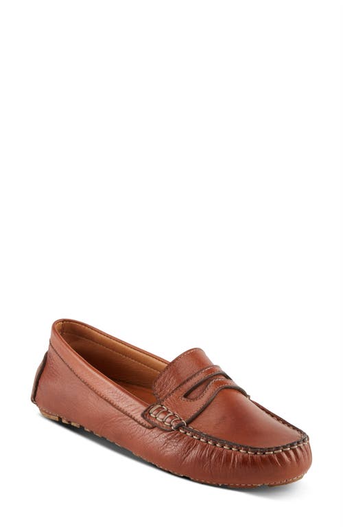 Spring Step Audette Penny Loafer In Brown