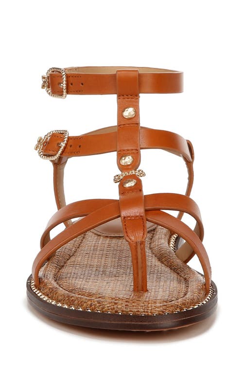 Sam Edelman Teeni Gladiator Sandal Cognac Brown Leather In Honey Brown