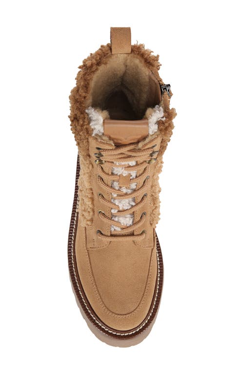 Sam Edelman Elliot Combat Boot Golden Caramel Suede In Golden Caramel Multi