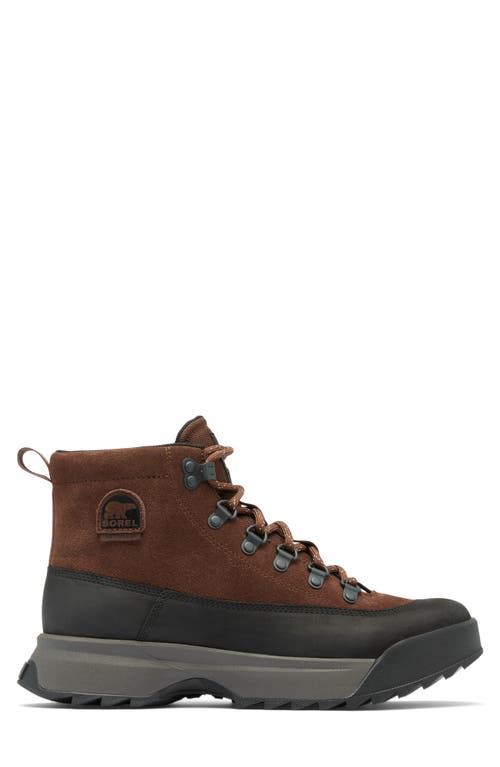 Shop Sorel Scout 87 Pro Plus Waterproof Boot In Tobacco/black