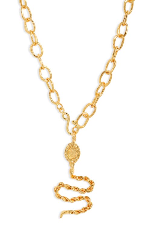 Magdalena Snake Pendant Necklace in Gold
