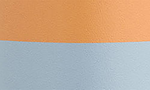 Shop Joyjolt Stainless Steel Lidded Water Bottle In Orange/blue