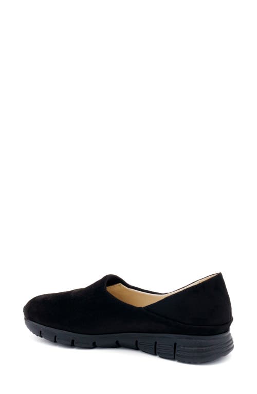 Shop Amalfi By Rangoni Jerry Slip-on Sneaker In Black Pasha