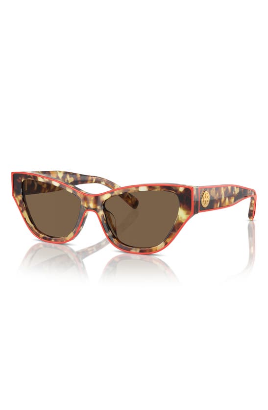 Tory Burch 54mm Cat Eye Sunglasses In Dark Brown