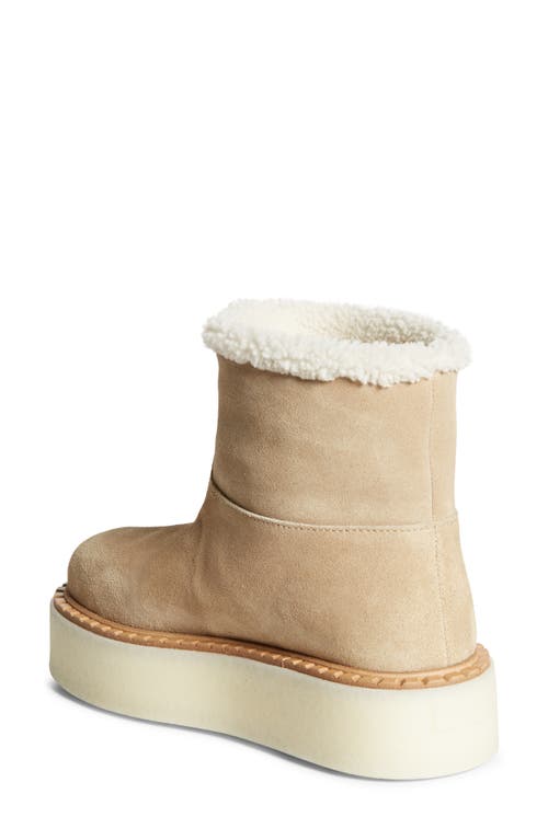 Prada Evolve Genuine Shearling Bootie In Ecru
