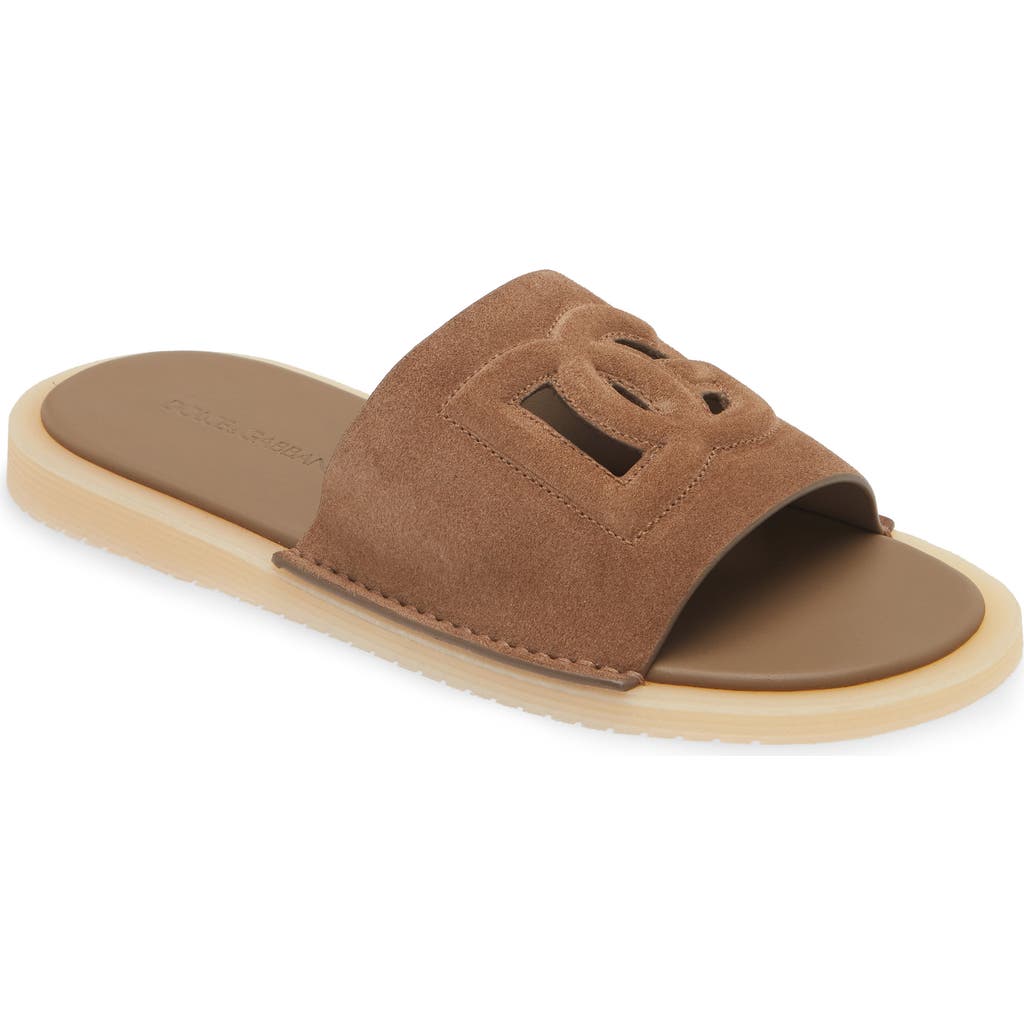 Dolce & Gabbana Dolce&gabbana Crosta Slide Sandal In 80024-nocciola