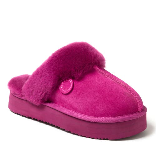 Shop Dearfoams Fireside Melton Genuine Shearling Platform Scuff Slipper In Mystic Purple