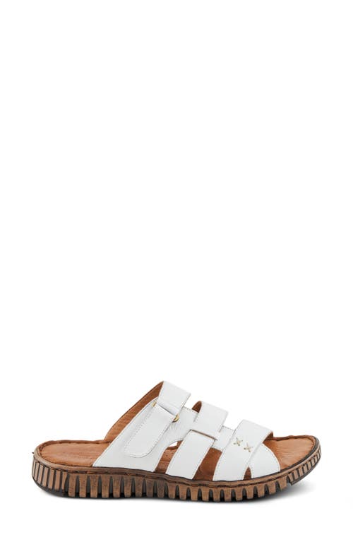 Shop Spring Step Olly Slide Sandal In White