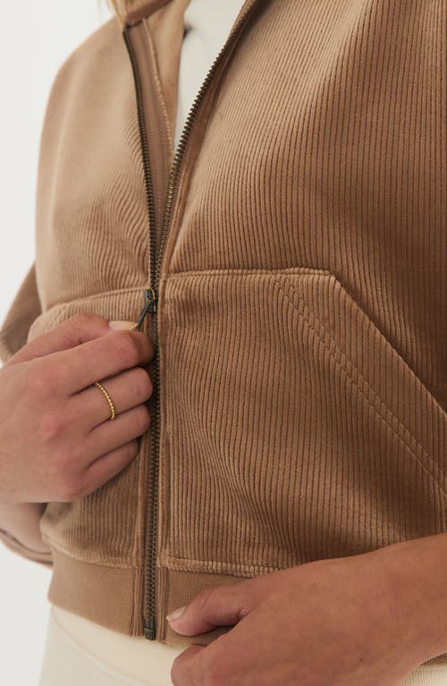 Shop Marine Layer Corded Velour Crop Hoodie In Toffee