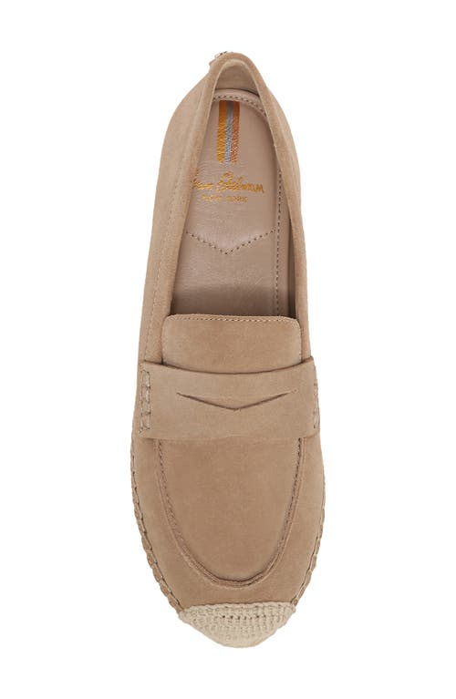 Shop Sam Edelman Kai Penny Loafer In Tuscan Taupe