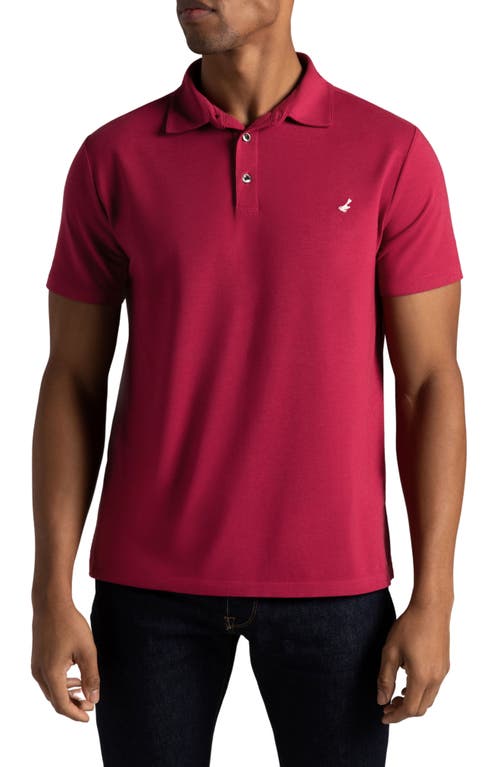 Mojave Supima Cotton Blend Feather Jersey Polo in Cranberry