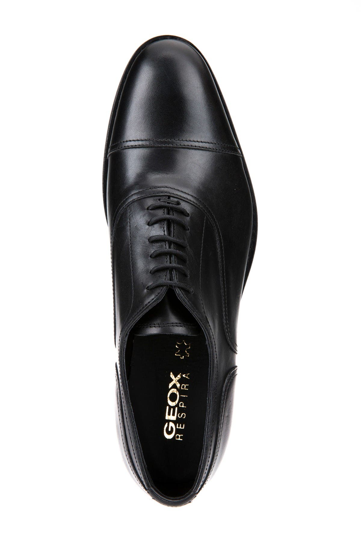 geox hampstead shoes