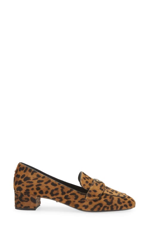 Shop Prada Genuine Calf Hair Loafer Pump In Miele Print Calf Hair